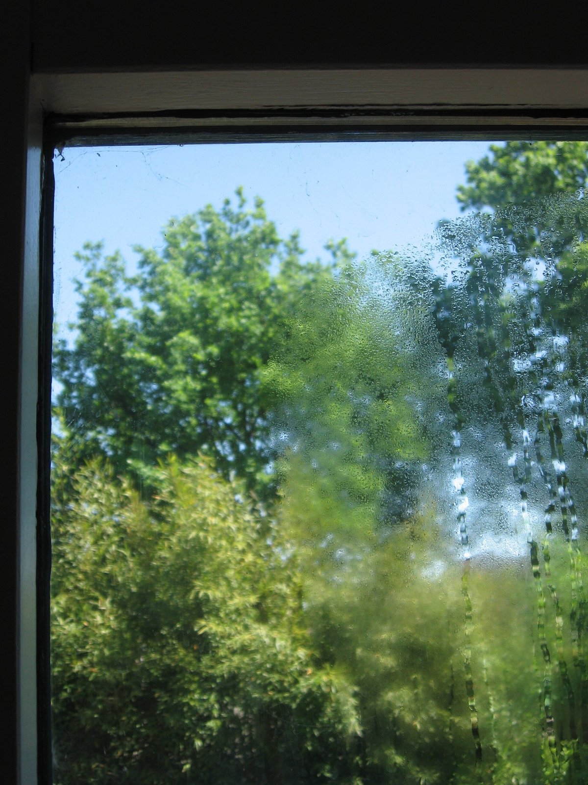 Condensation réelle entre les deux verres d'un double vitrage, signe de remplacement nécessaire